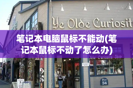 笔记本电脑鼠标不能动(笔记本鼠标不动了怎么办)