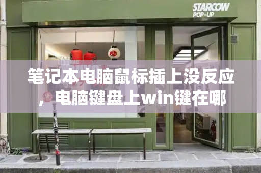 笔记本电脑鼠标插上没反应，电脑键盘上win键在哪