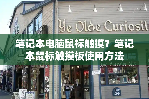 笔记本电脑鼠标触摸？笔记本鼠标触摸板使用方法-第1张图片-星选测评