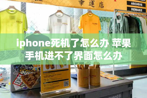 iphone死机了怎么办 苹果手机进不了界面怎么办