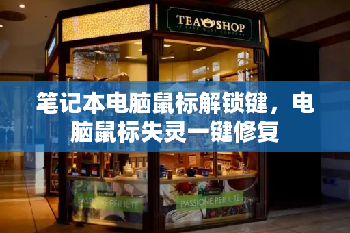 笔记本电脑鼠标解锁键，电脑鼠标失灵一键修复