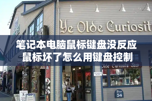 笔记本电脑鼠标键盘没反应 鼠标坏了怎么用键盘控制