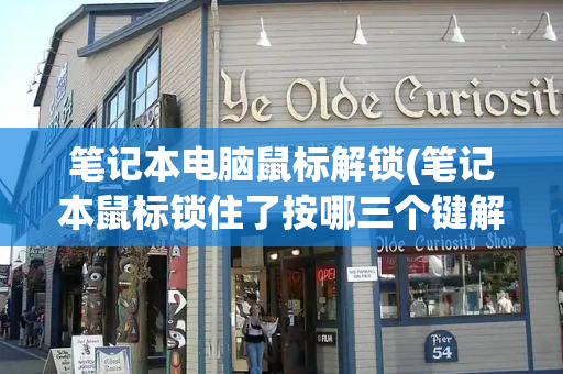 笔记本电脑鼠标解锁(笔记本鼠标锁住了按哪三个键解锁)