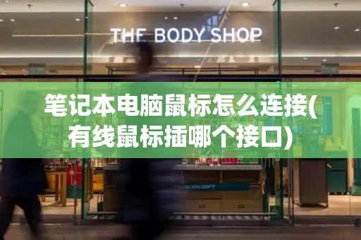 笔记本电脑鼠标怎么连接(有线鼠标插哪个接口)
