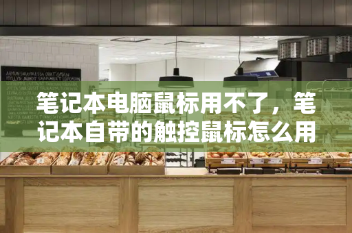 笔记本电脑鼠标用不了，笔记本自带的触控鼠标怎么用