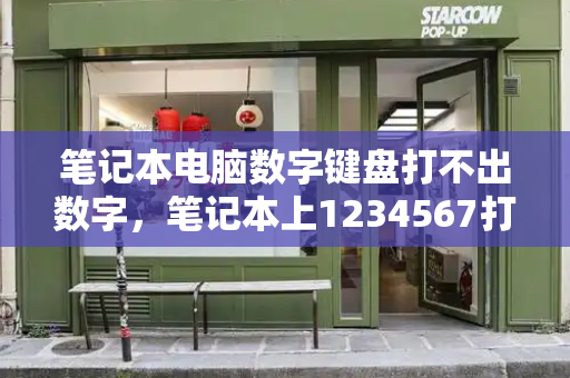 笔记本电脑数字键盘打不出数字，笔记本上1234567打不出来