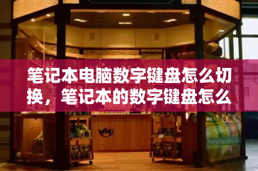 笔记本电脑数字键盘怎么切换，笔记本的数字键盘怎么启用