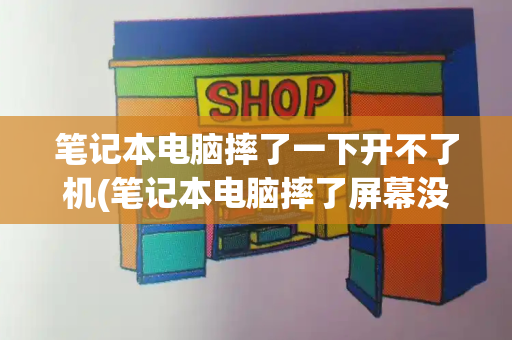笔记本电脑摔了一下开不了机(笔记本电脑摔了屏幕没反应)-第1张图片-星选测评