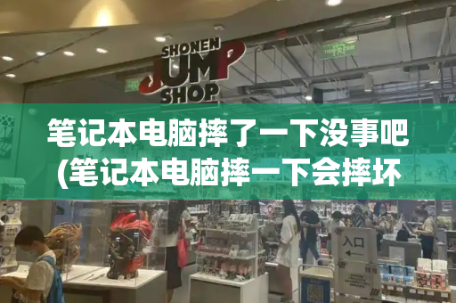 笔记本电脑摔了一下没事吧(笔记本电脑摔一下会摔坏吗)-第1张图片-星选测评