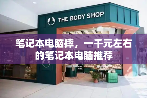 笔记本电脑摔，一千元左右的笔记本电脑推荐-第1张图片-星选测评