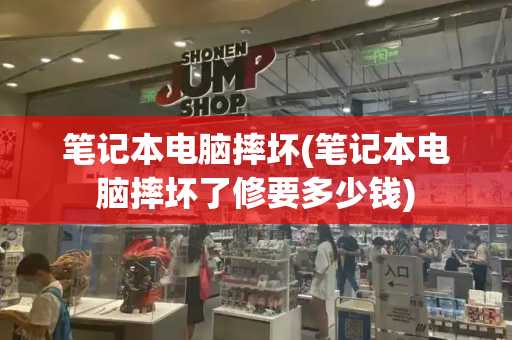笔记本电脑摔坏(笔记本电脑摔坏了修要多少钱)