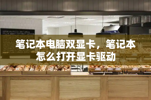 笔记本电脑双显卡，笔记本怎么打开显卡驱动