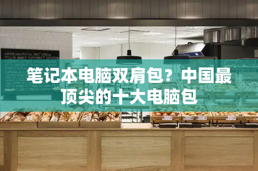 笔记本电脑双肩包？中国最顶尖的十大电脑包-第1张图片-星选测评