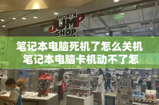 笔记本电脑死机了怎么关机 笔记本电脑卡机动不了怎么重启-第1张图片-星选测评