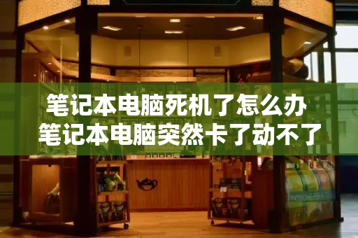 笔记本电脑死机了怎么办 笔记本电脑突然卡了动不了-第1张图片-星选测评