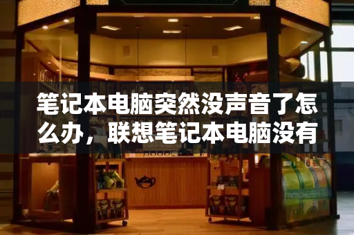 笔记本电脑突然没声音了怎么办，联想笔记本电脑没有声音怎么解决-第1张图片-星选测评