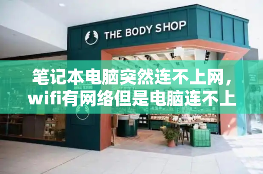 笔记本电脑突然连不上网，wifi有网络但是电脑连不上网-第1张图片-星选测评