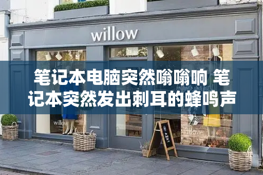 笔记本电脑突然嗡嗡响 笔记本突然发出刺耳的蜂鸣声
