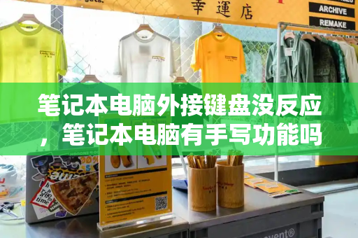 笔记本电脑外接键盘没反应，笔记本电脑有手写功能吗-第1张图片-星选测评