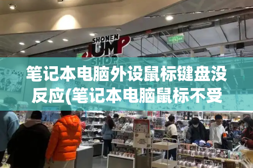 笔记本电脑外设鼠标键盘没反应(笔记本电脑鼠标不受控制)