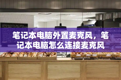 笔记本电脑外置麦克风，笔记本电脑怎么连接麦克风-第1张图片-星选测评