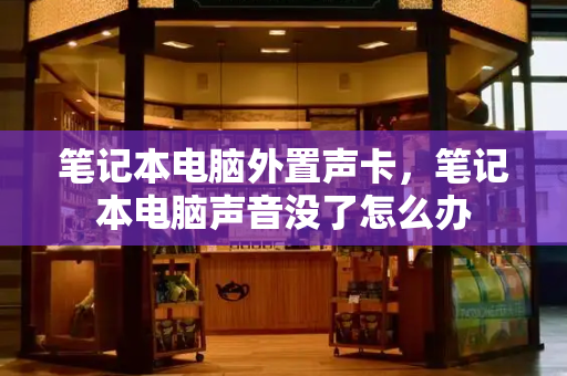 笔记本电脑外置声卡，笔记本电脑声音没了怎么办-第1张图片-星选测评