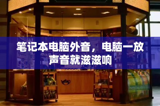 笔记本电脑外音，电脑一放声音就滋滋响
