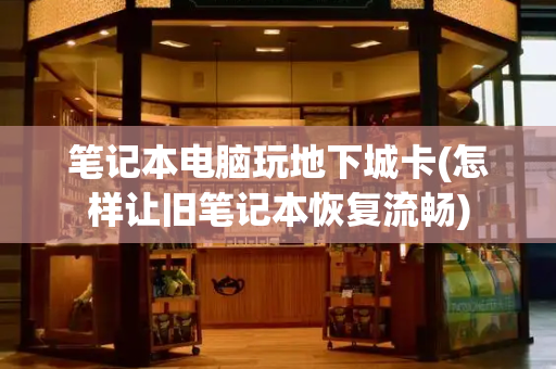 笔记本电脑玩地下城卡(怎样让旧笔记本恢复流畅)