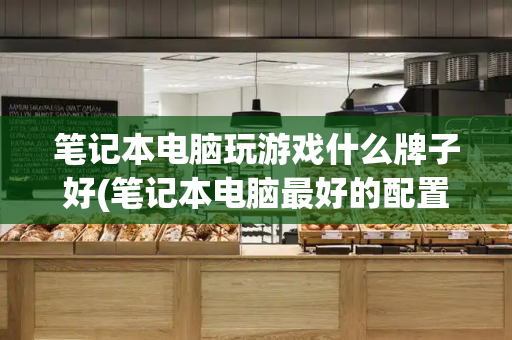 笔记本电脑玩游戏什么牌子好(笔记本电脑最好的配置单)