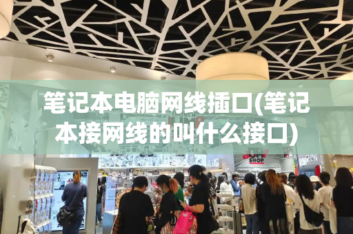 笔记本电脑网线插口(笔记本接网线的叫什么接口)-第1张图片-星选测评