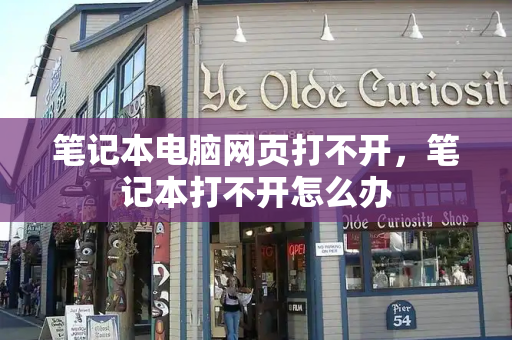 笔记本电脑网页打不开，笔记本打不开怎么办