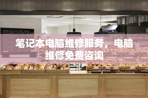 笔记本电脑维修服务，电脑维修免费咨询