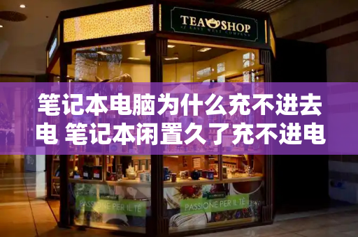 笔记本电脑为什么充不进去电 笔记本闲置久了充不进电