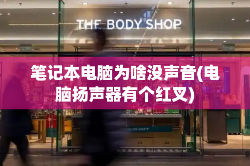 笔记本电脑为啥没声音(电脑扬声器有个红叉)