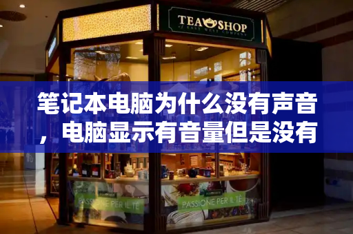 笔记本电脑为什么没有声音，电脑显示有音量但是没有声音 原因及解决办法