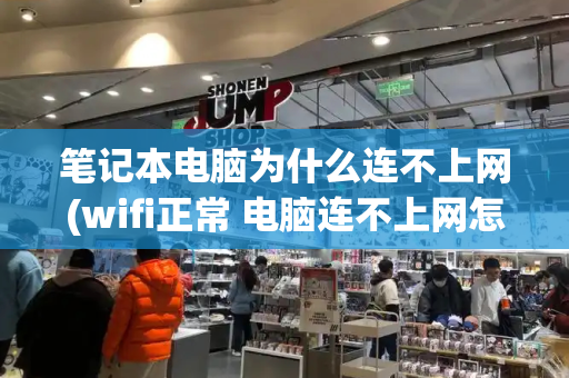 笔记本电脑为什么连不上网(wifi正常 电脑连不上网怎么办)