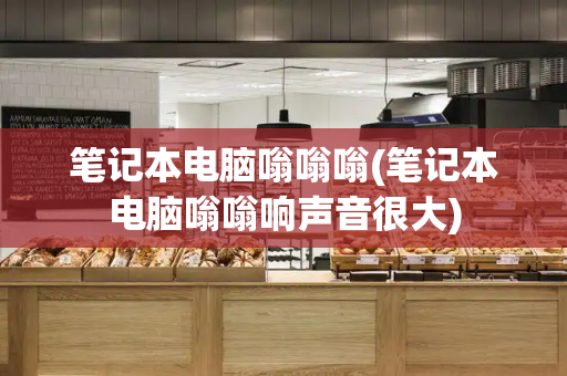 笔记本电脑嗡嗡嗡(笔记本电脑嗡嗡响声音很大)