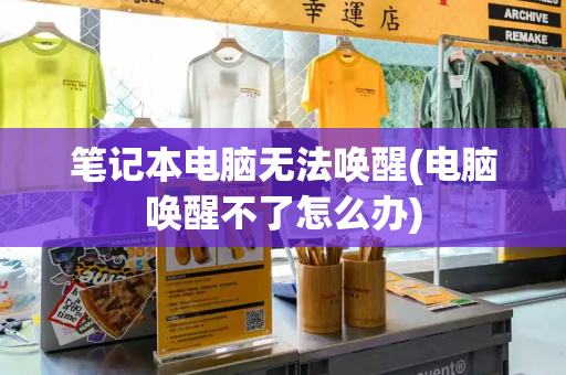笔记本电脑无法唤醒(电脑唤醒不了怎么办)