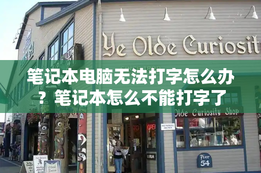 笔记本电脑无法打字怎么办？笔记本怎么不能打字了-第1张图片-星选测评