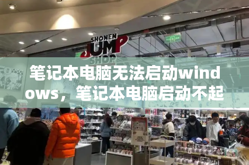 笔记本电脑无法启动windows，笔记本电脑启动不起来-第1张图片-星选测评