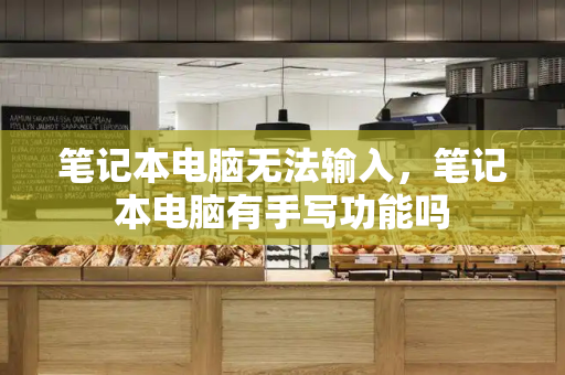 笔记本电脑无法输入，笔记本电脑有手写功能吗-第1张图片-星选测评