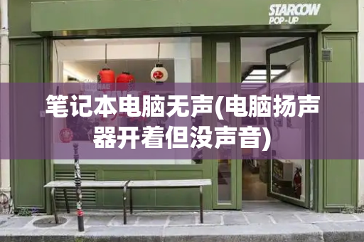 笔记本电脑无声(电脑扬声器开着但没声音)