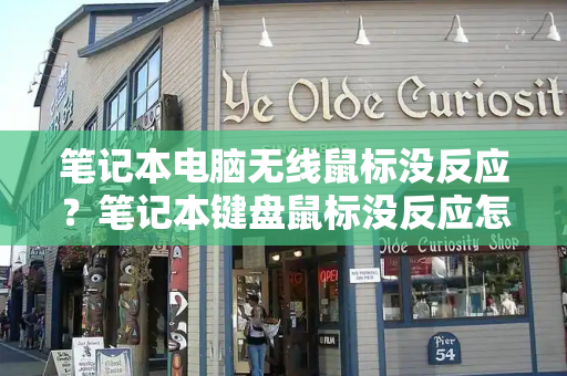 笔记本电脑无线鼠标没反应？笔记本键盘鼠标没反应怎么办