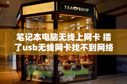 笔记本电脑无线上网卡 插了usb无线网卡找不到网络