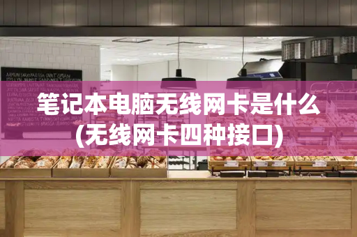 笔记本电脑无线网卡是什么(无线网卡四种接口)