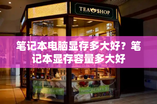 笔记本电脑显存多大好？笔记本显存容量多大好