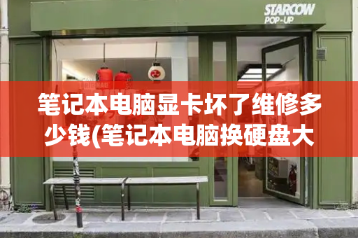 笔记本电脑显卡坏了维修多少钱(笔记本电脑换硬盘大概要多少钱)-第1张图片-星选测评