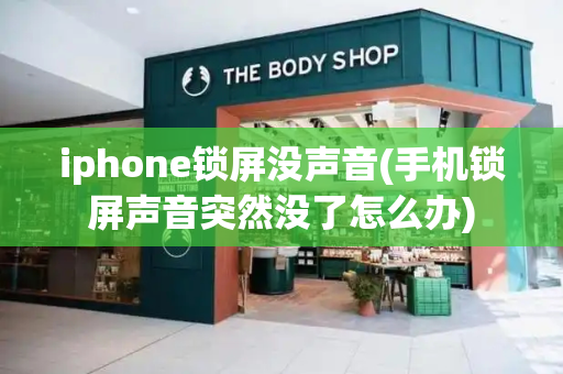 iphone锁屏没声音(手机锁屏声音突然没了怎么办)-第1张图片-星选测评