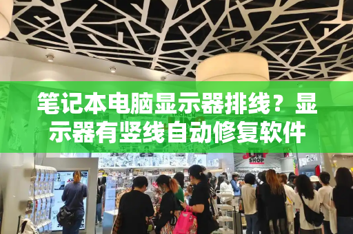 笔记本电脑显示器排线？显示器有竖线自动修复软件