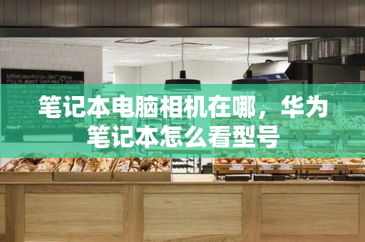 笔记本电脑相机在哪，华为笔记本怎么看型号-第1张图片-星选测评
